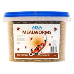 Mealworms